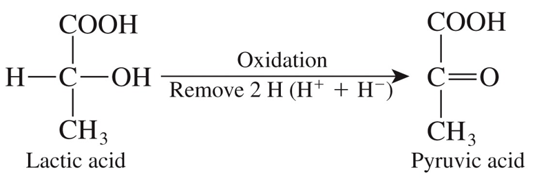 Energy Transfer