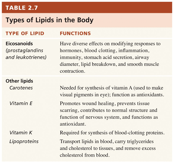 Lipid Metabolism