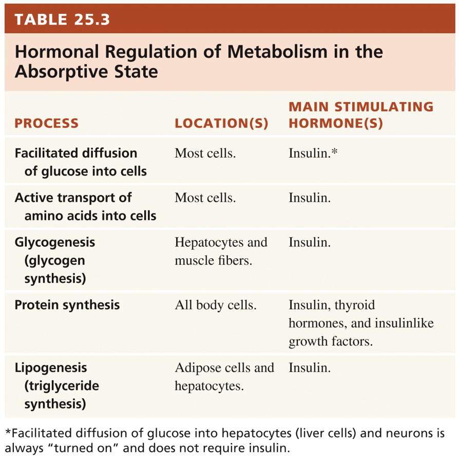 Metabolic Adaptations