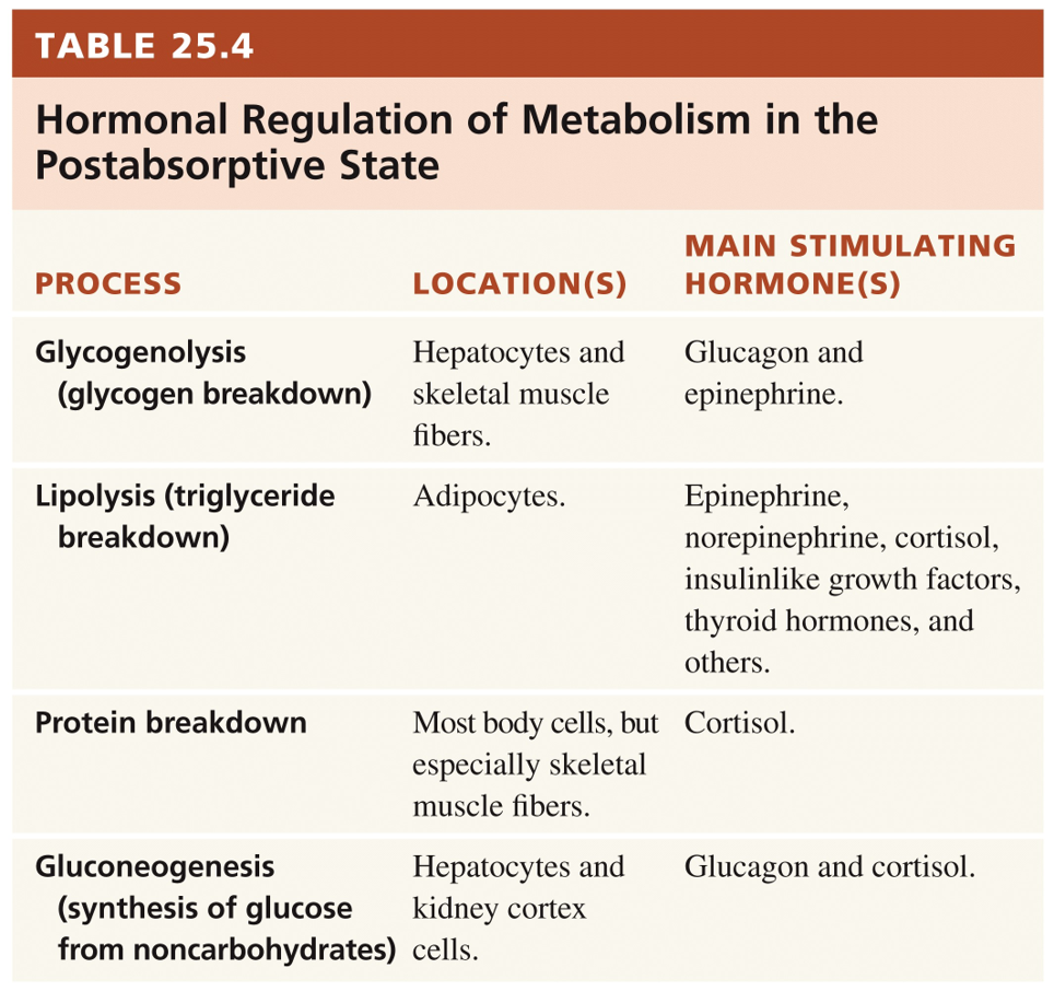 Metabolic Adaptations