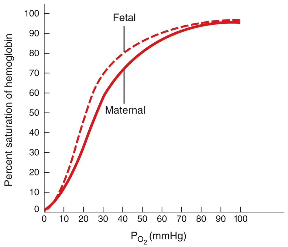 Factors Affecting the Affinity of Hb for O2