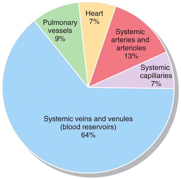 Blood Distribution