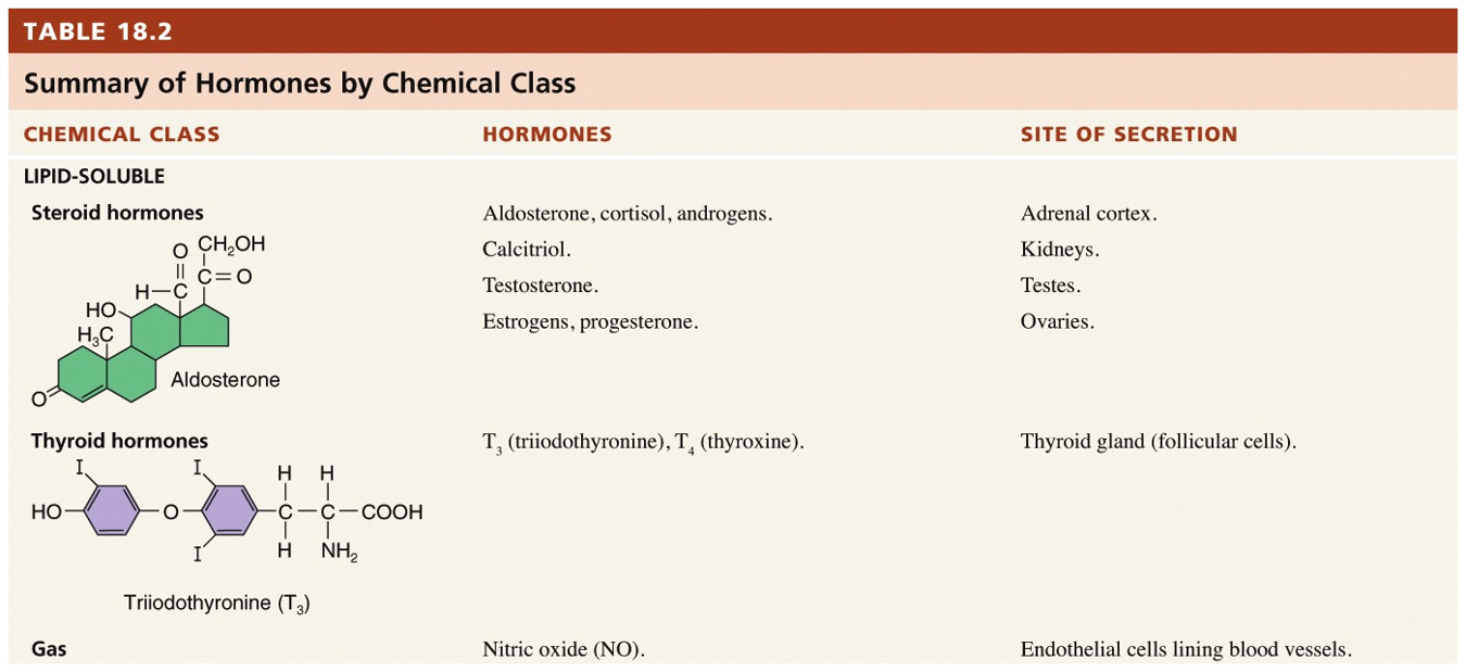 Hormone Activity