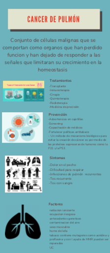 Lung Cancer Infographic