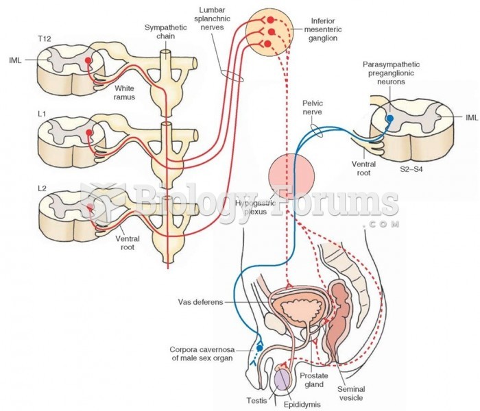 Autonomic innervation of the male reproductive system