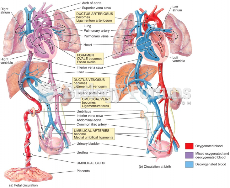 Adjustments of the Infant at Birth