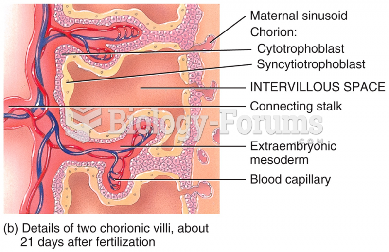 Embryonic Period - Embryonic Heart