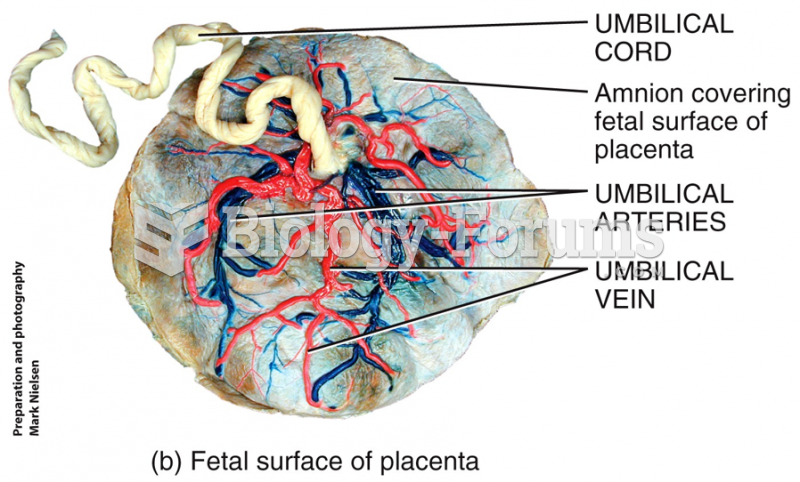 Embryonic Period