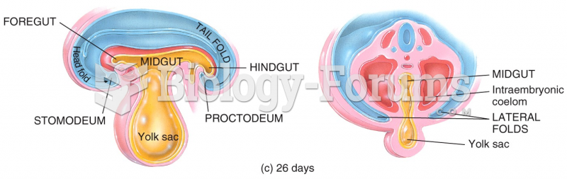 Embryonic Period
