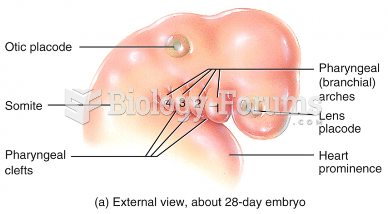 Embryonic Period - 4th week