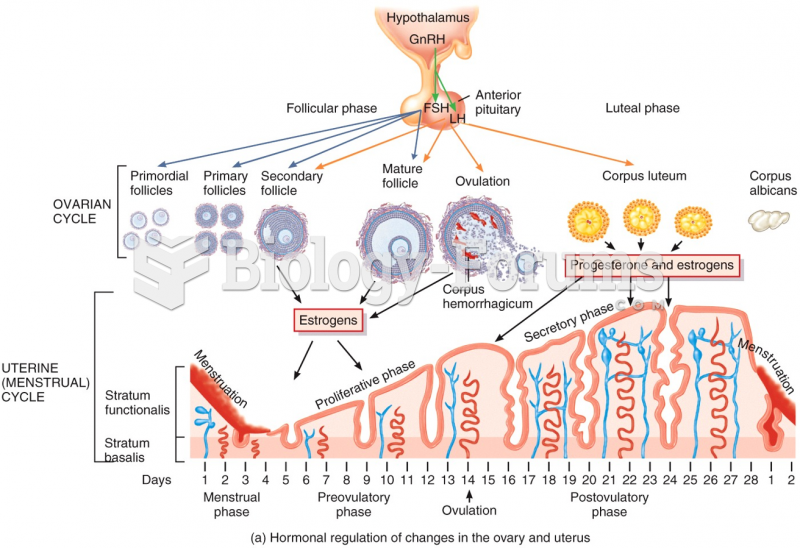 Phases of the Female Reproductive Cycle