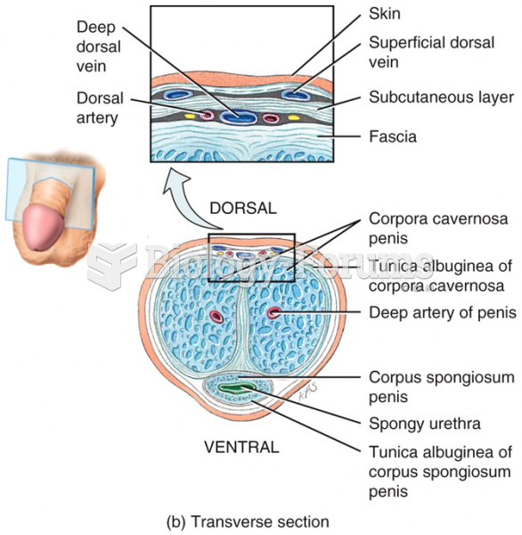 Male Reproductive System - Semen