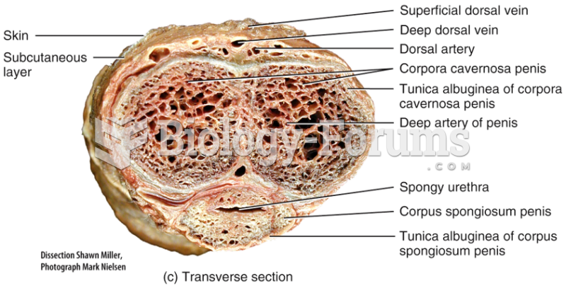 Male Reproductive System - Semen