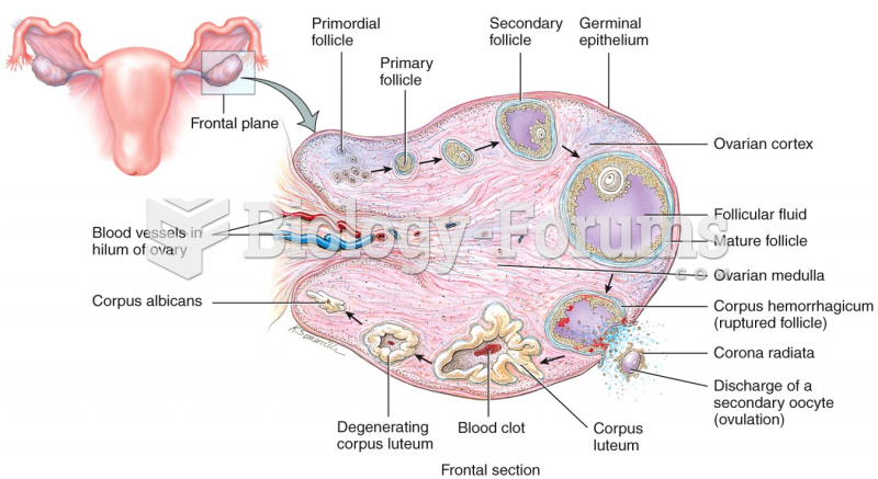 Female Reproductive System