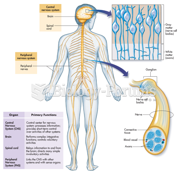 The Central Nervous System Includes the Brain and Spinal Cord