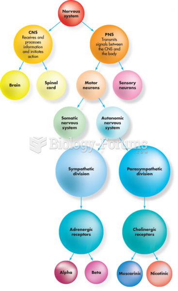 Divisions of the Nervous System