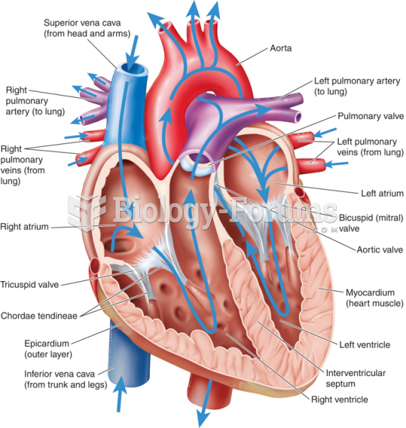 Anatomy of the Heart