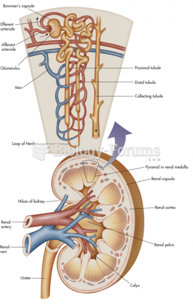 The Kidney with an Expanded View of the Nephron