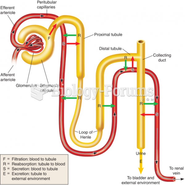 Sites of Resorption and Secretion in a Nephron