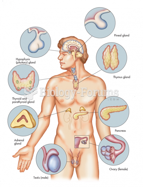 Primary Glands of the Endocrine System