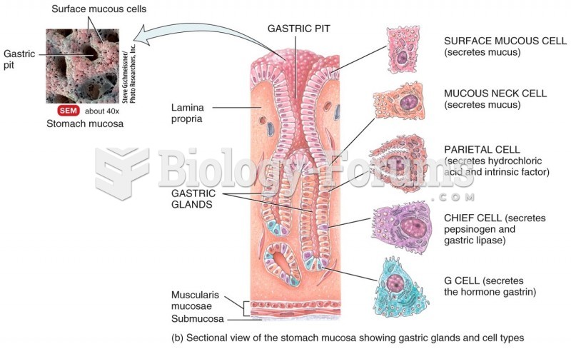 Gastric Glands and Cell Types in the Stomach