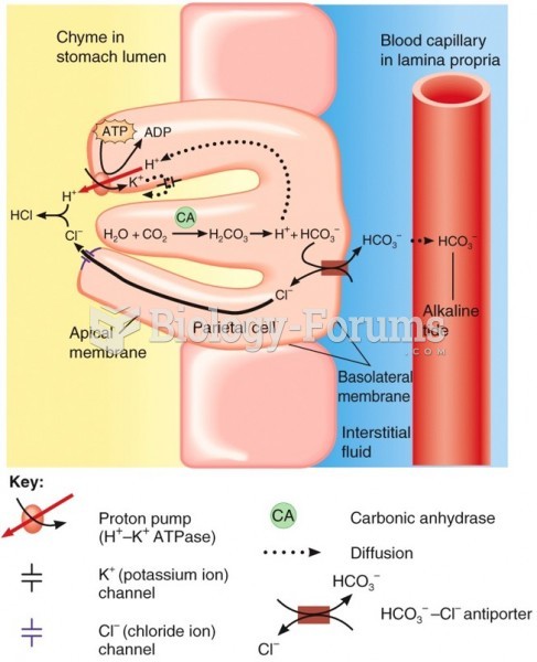 Secretion and Regulation of HCl in the Stomach