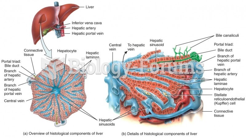 Histology of the Liver