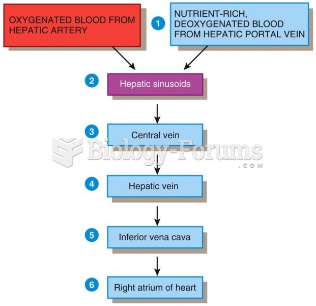 Blood Supply of the Liver