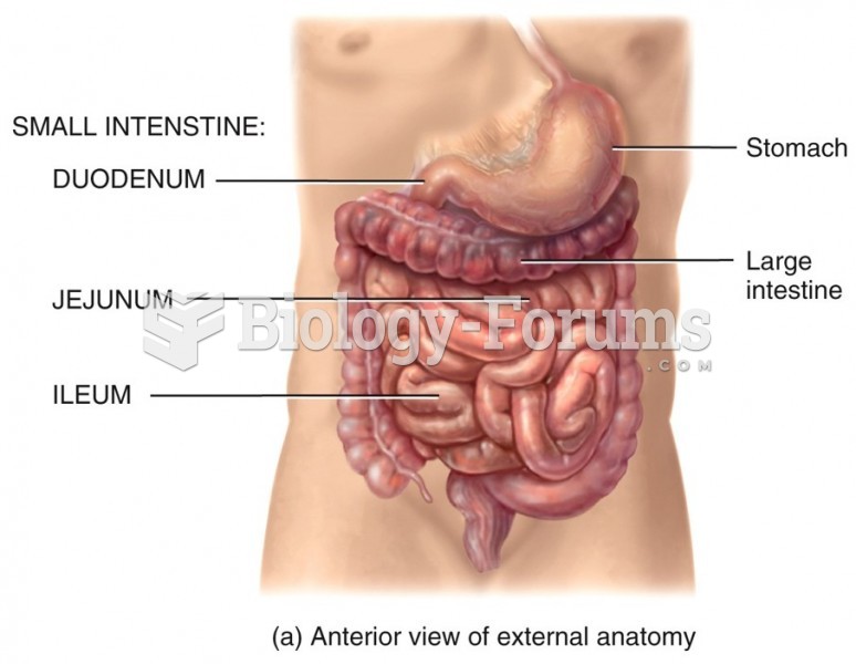 Small Intestine (SI)