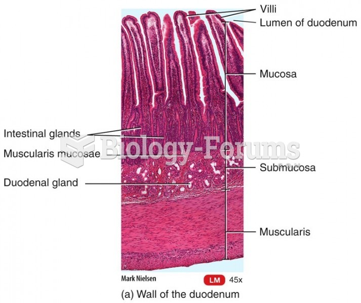 Wall of the Duodenum