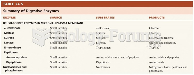 Summary of the digestive enzymes