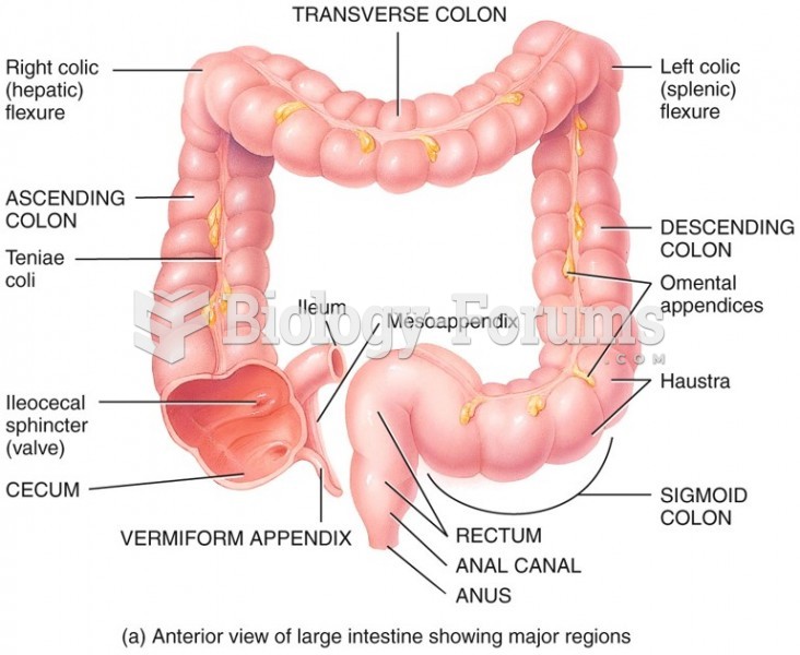 Anatomy of the Large Intestine (colon)