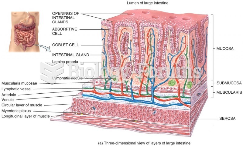 Histology of the Colon