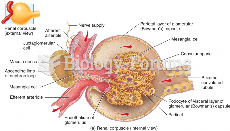 Histology of a Renal Corpuscle