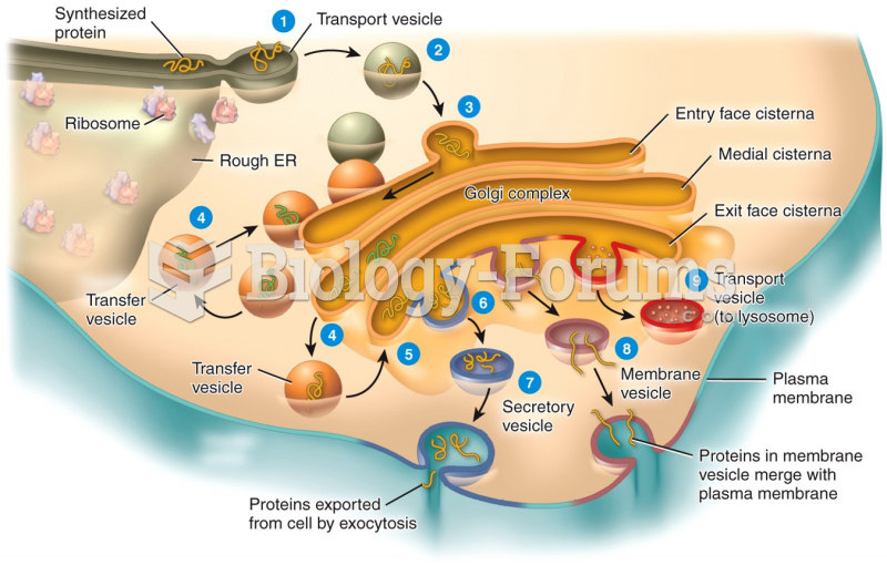 Golgi Complex
