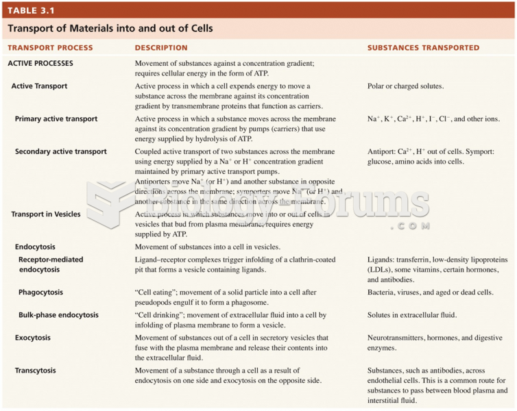 A Comparison of Transport Types