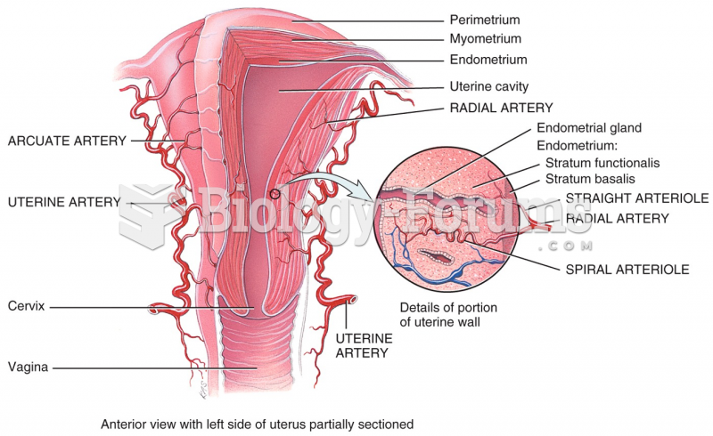 Uterine arterioles