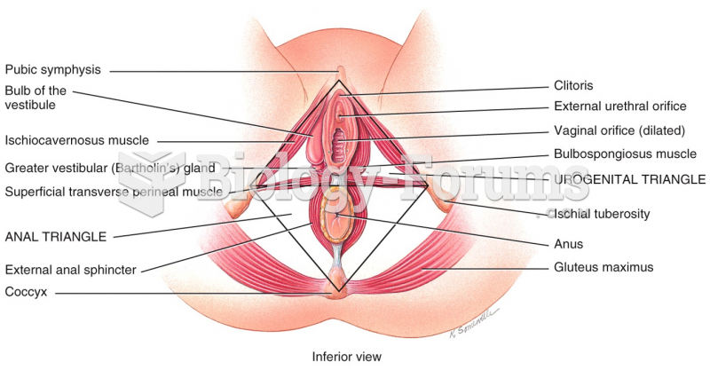 Vulva (pudendum) "الفرج"