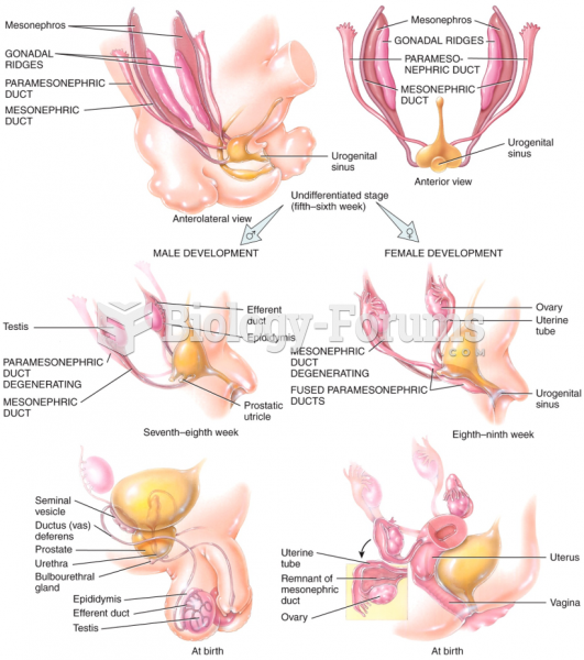 Development of the Reproductive Systems