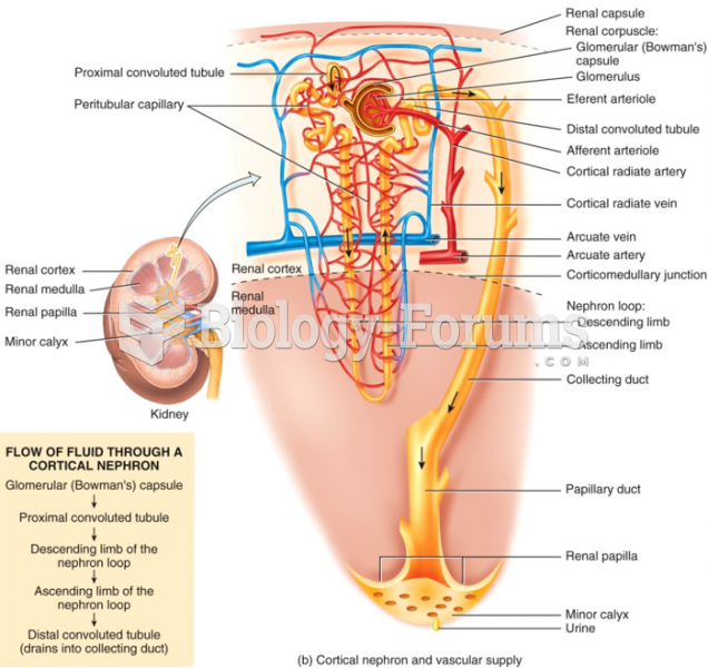 The Distal Collecting Tubule and Collecting Duct