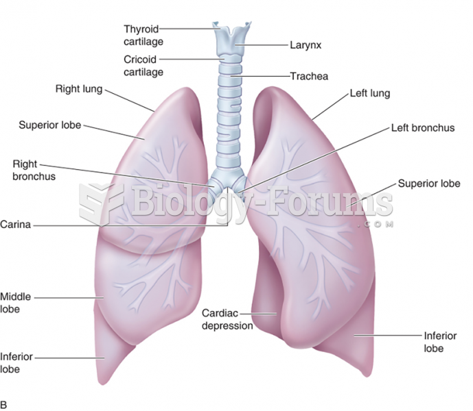 The Upper (A) and Lower (B) Respiratory Tracts (2 of 2)