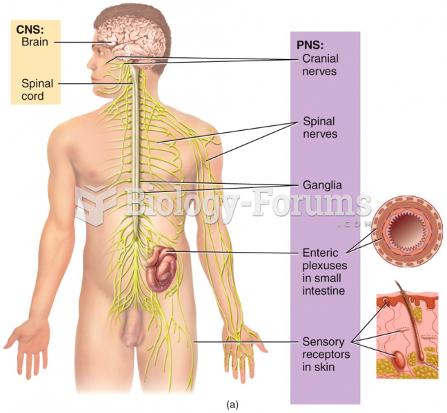 Layout of the Nervous System