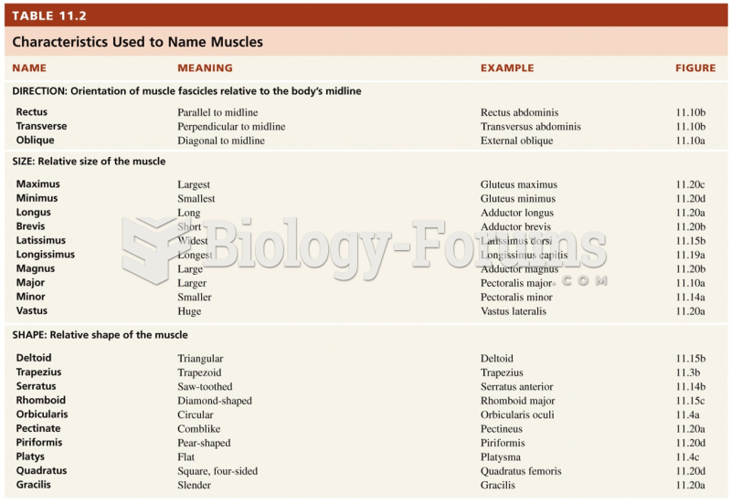 How Skeletal Muscles are Named