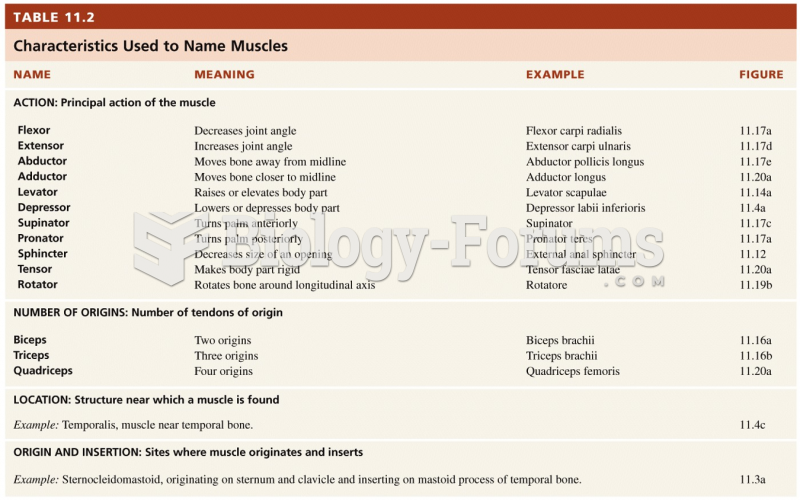 How Skeletal Muscles are Named