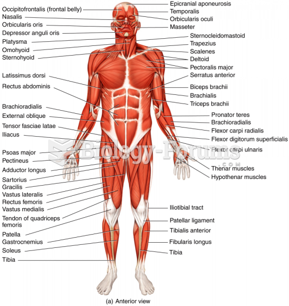 Superficial/Anterior Skeletal Muscles