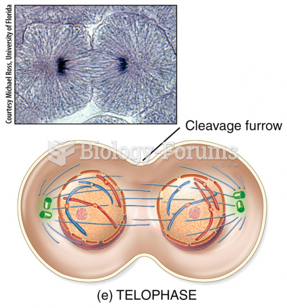 Mitotic Phase: Telophase