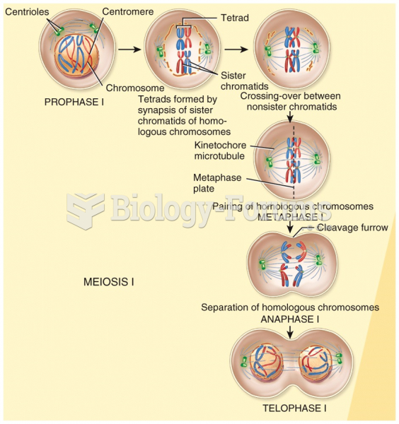 Reproductive Cell Division: Meiosis I