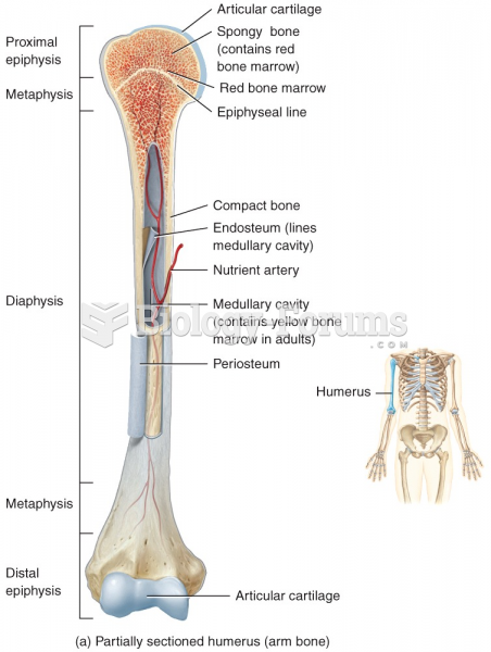 Structure of Bone