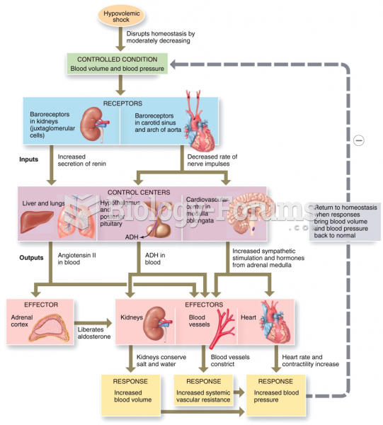 Responses to Hypovolemic Shock