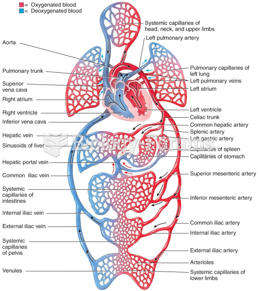 Circulatory Routes